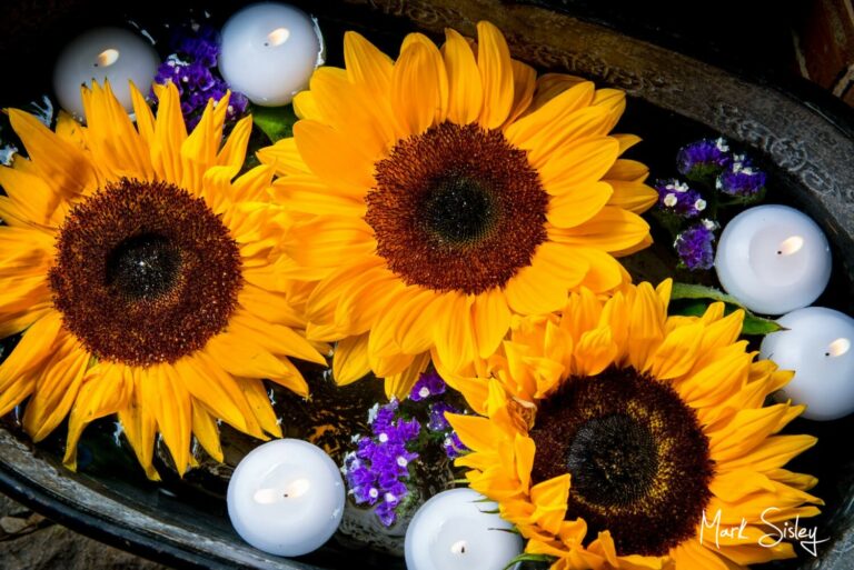 Dairy Waddesdon wedding photos of a floating sunflower display