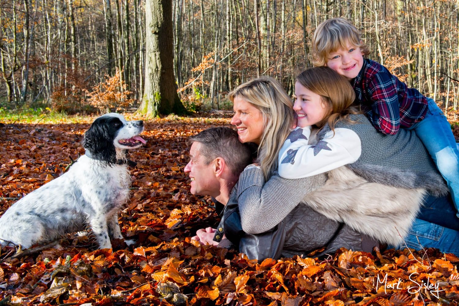 Amersham and Beaconsfield Autumn Family Portraits in nearby woodlands