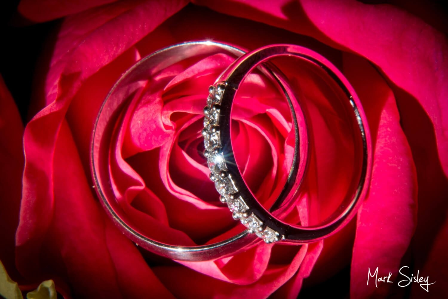 Wedding rings on a deep red rose at Notley Tythe Barn wedding