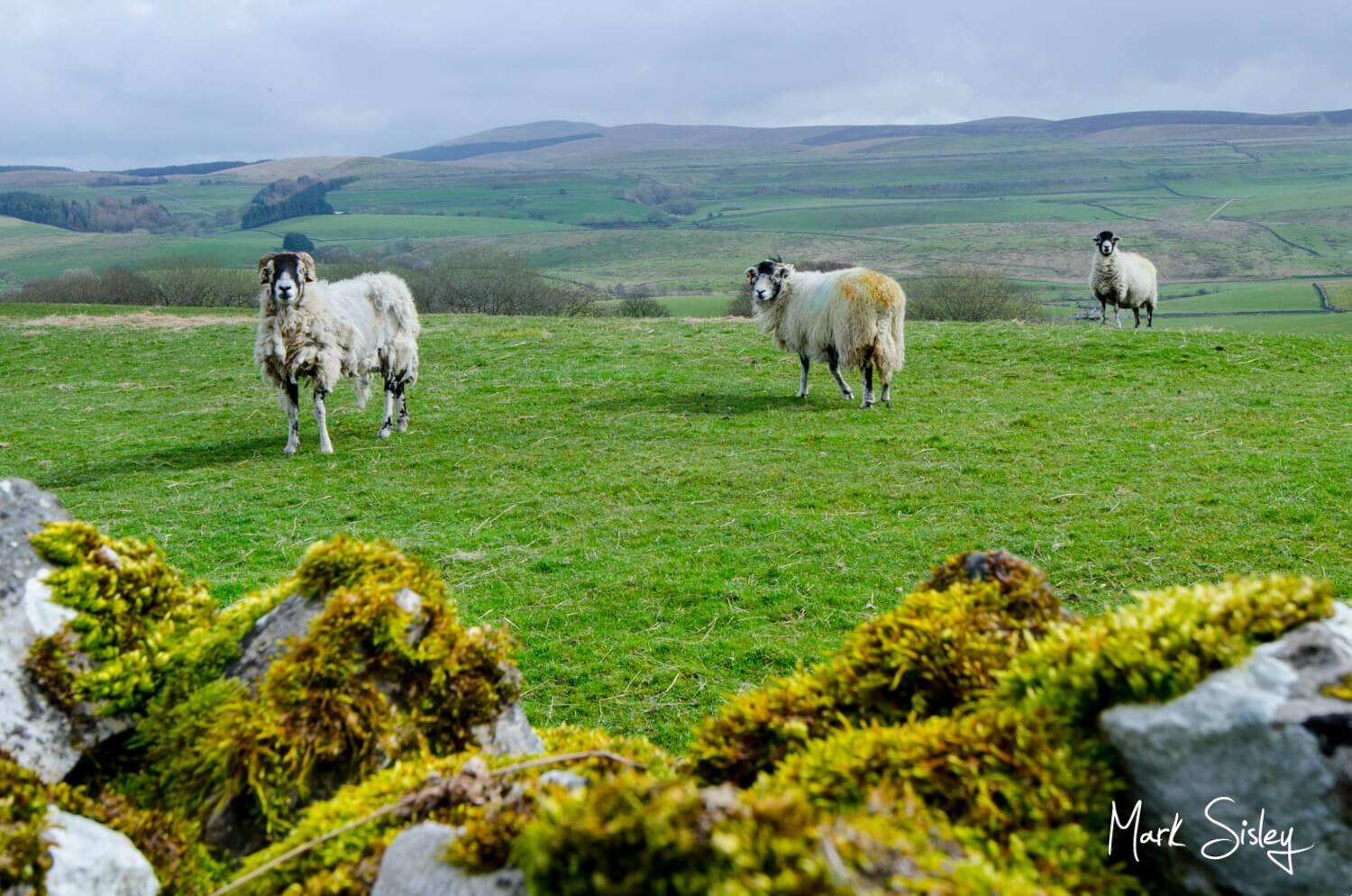 UK Holiday home interiors & exteriors - Yorkshire Dales