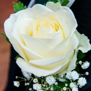 Detail of white rose buttonhole at Stoke Place wedding