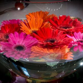 Detail of gerberas floral arrangement at Stoke Place wedding