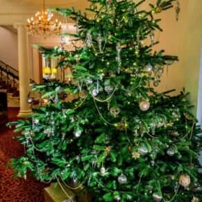 Christmas tree at Taplow House Hotel wedding