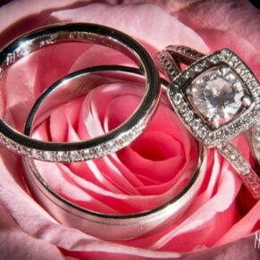 Close-up image of wedding rings on pink rose at Taplow House hotel wedding
