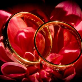Close-up image of wedding rings on a red rose by Mark Sisley photography