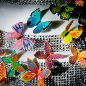 Butterflies wedding cake at Notley Tythe Barn wedding