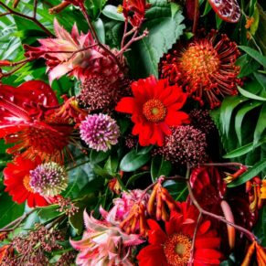 Red flowers at the Waddesdon Wedding Inspiration Day
