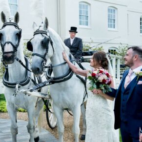 Photography of the bride and groom stroking the horses after their romantic carriage ride to their wedding reception at Sopwell House in St.Albans