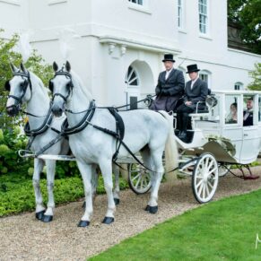 The wedding horses and carriage posing for photography opportunities at the front of Sopwell House Hotel in St. Albans 