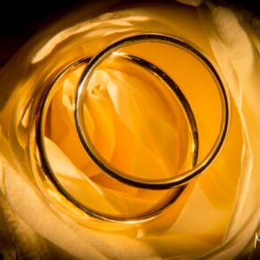 The couple's rings placed carefully on a delicate yellow rose from the bride's bouquet at her Danesfield House wedding 