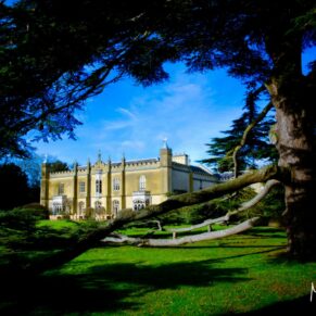 The venue exterior captured under a perfect blue sky through the huge 400 year old cedar tree 
