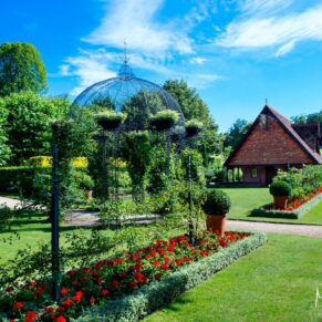 Some of the manicured gardens of The Dairy captured on a summer's day near to the Buttery 