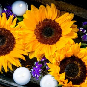 Five Arrows Waddesdon wedding photography of a floating sunflower floral display  