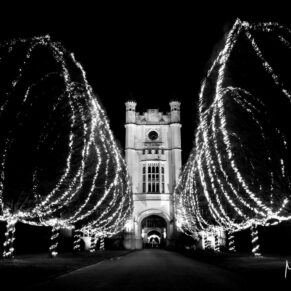 The magical illuminated tree aisle as you approach the fabulous Danesfield House Hotel after dark on a wedding day