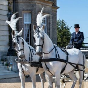 The bride with her white horses and carriage outside the front of her Hedsor House wedding reception venue 